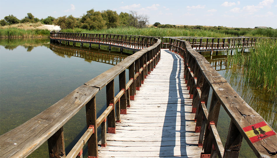 Parque Nacional Tablas de Daimiel